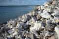 Conch hills at the Lac Bai (not for souvenir)