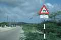 Donkeys crossing, as funny as it seems, it&acute;s good to watch out for them
