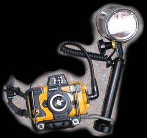 My (old) MMII with a brand new YS-60 & closeup lens (gee, I bought that one after the trip)